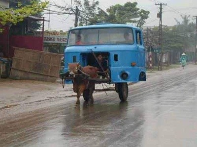 donkey-truck.jpg