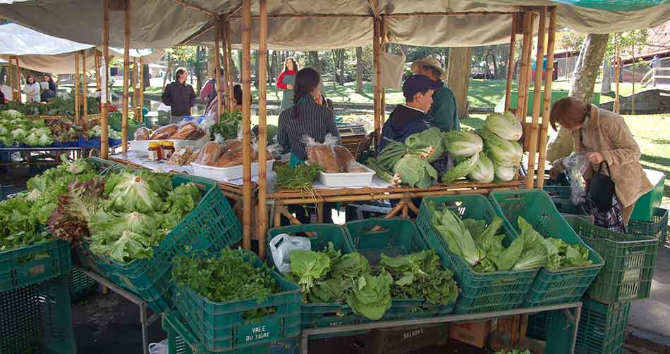 Na feira, as pessoas ainda olham de lado para os produtos orgânicos