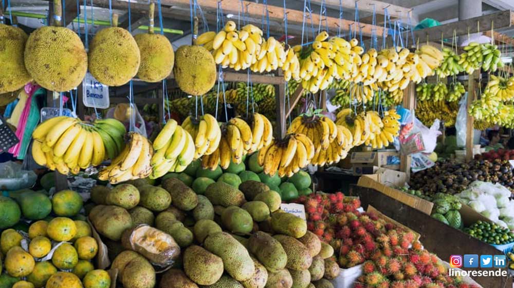 Frutas preferidas pelos brasileiros não são do Brasil