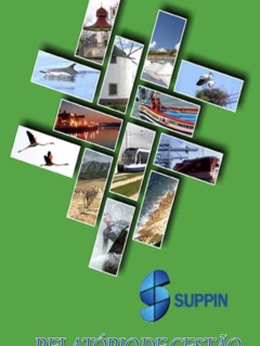 SUPPIN - Relatório de gestão